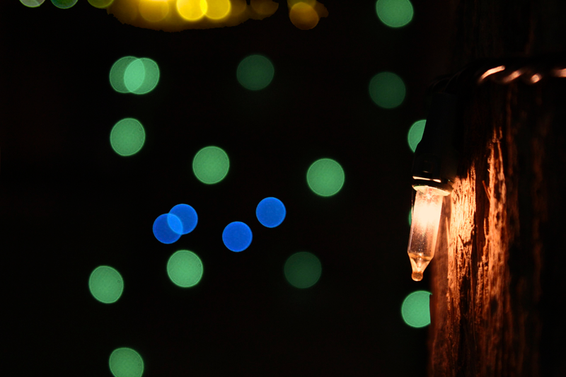 Illustration for article titled Shooting Challenge: Bokeh, Gallery 2
